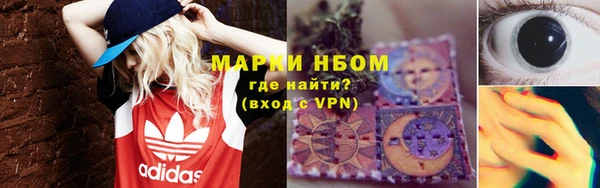 гидра Ельня