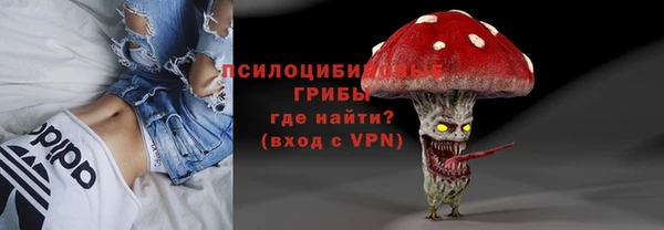 гидропоника Арсеньев
