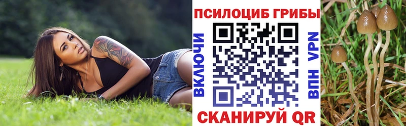 Галлюциногенные грибы Psilocybe  Сольцы 